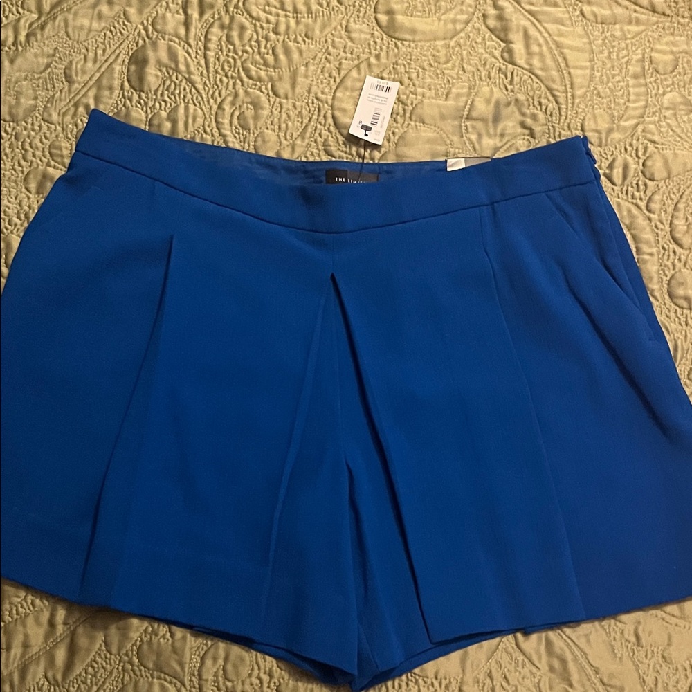 NWT Blue Pleated Front Skort